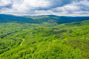 Bulgaristan 'daki Strandzha dağlarının havadan görünüşü