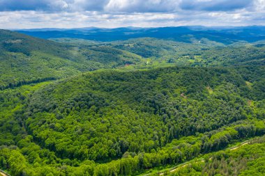 Bulgaristan 'daki Strandzha dağlarının havadan görünüşü
