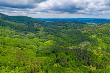 Bulgaristan 'daki Strandzha dağlarının havadan görünüşü