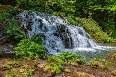 Bulgaristan 'ın Strandzha dağlarında Dokuzak şelalesi