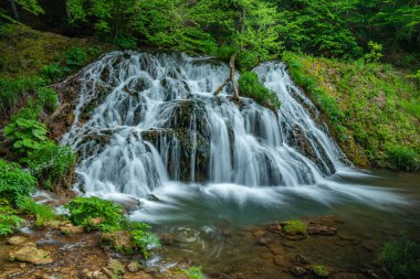 Bulgaristan 'ın Strandzha dağlarında Dokuzak şelalesi