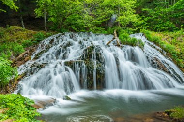 Bulgaristan 'ın Strandzha dağlarında Dokuzak şelalesi