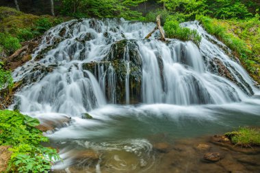 Bulgaristan 'ın Strandzha dağlarında Dokuzak şelalesi