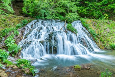 Bulgaristan 'ın Strandzha dağlarında Dokuzak şelalesi