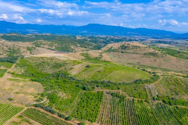 Bulgaristan 'ın Melnik yakınlarındaki bölgeye yayılan üzüm bağları