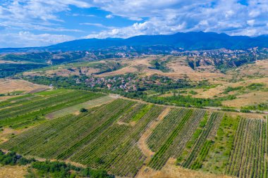 Bulgaristan 'ın Melnik yakınlarındaki bölgeye yayılan üzüm bağları