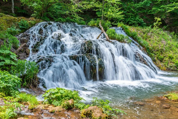 Dokuzak Waterfall Strandzha Mountains Bulgaria — стоковое фото