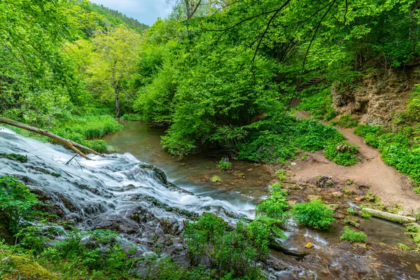 Dokuzak Waterfall Strandzha Mountains Bulgaria — Stock Photo, Image