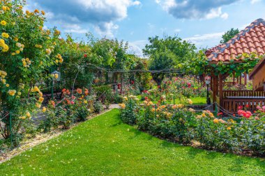 Bulgaristan 'da gül yağı üretimini gösteren Şam etnoğrafi kompleksinin manzarası