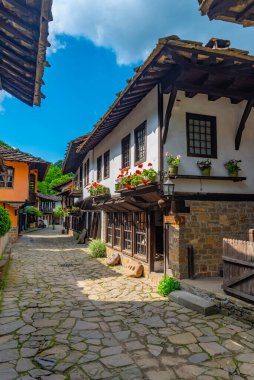 Geleneksel Bulgar mimarisi Etar etnografik kompleksinde sergilendi