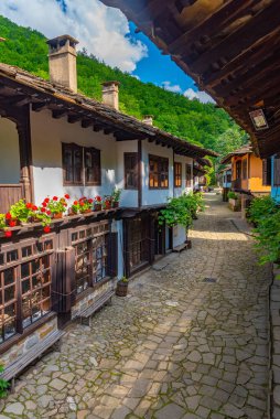 Geleneksel Bulgar mimarisi Etar etnografik kompleksinde sergilendi