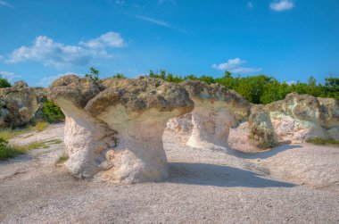 Bulgaristan 'ın Doğu Rhodopes dağlarında taş mantarlar