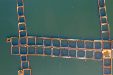 Bulgaristan 'ın Kardzhali barajında yer alan balık üreme yapısı