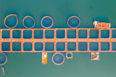 Bulgaristan 'ın Kardzhali barajında yer alan balık üreme yapısı