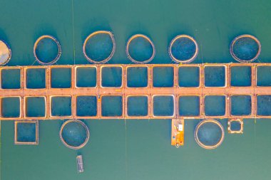 Bulgaristan 'ın Kardzhali barajında yer alan balık üreme yapısı