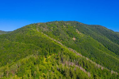 Bulgaristan 'ın Kardzhali kenti yakınlarındaki Doğu Rodopes dağının manzarası