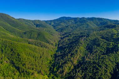 Bulgaristan 'ın Kardzhali kenti yakınlarındaki Doğu Rodopes dağının manzarası