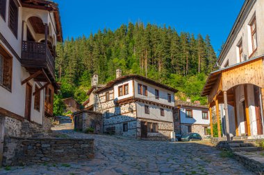 Bulgaristan 'ın Shiroka Laka köyündeki tarihi binalar