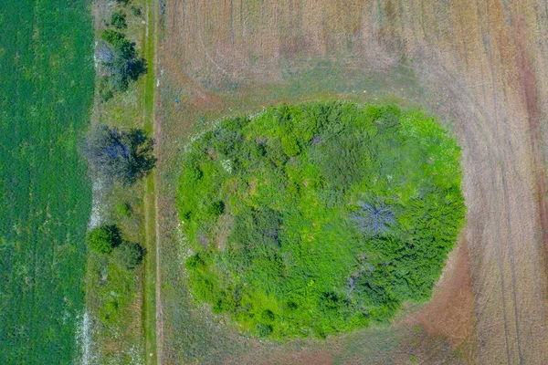 Tracki Grobowiec Seuthesa Iii Koło Kazanlaka Bułgarii — Zdjęcie stockowe