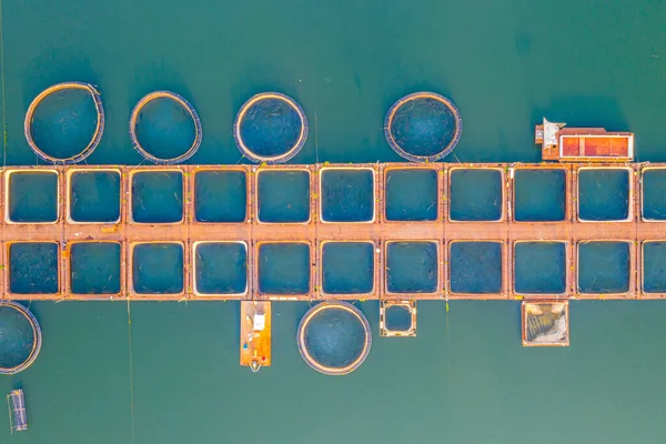 Bulgaristan 'ın Kardzhali barajında yer alan balık üreme yapısı