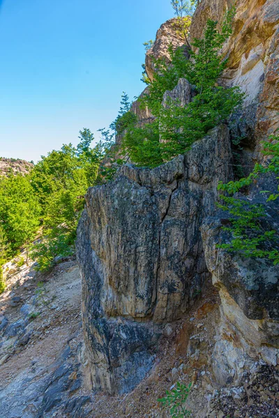 Απολιθωμένο Δάσος Στα Βουνά Της Ροδόπης Στη Βουλγαρία — Φωτογραφία Αρχείου