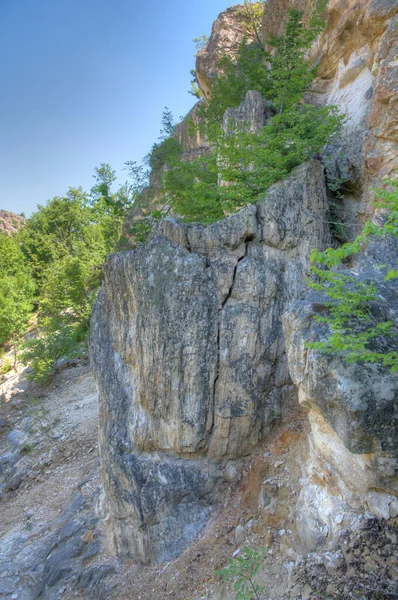Bulgaristan 'ın Rodopes dağlarındaki taşlaşmış orman