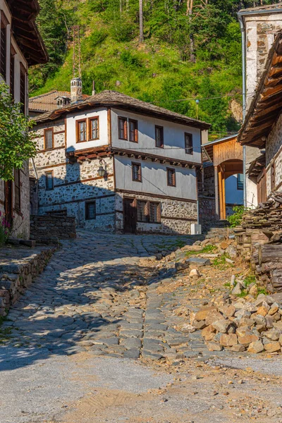 Historische Gebouwen Het Dorp Shiroka Laka Bulgarije — Stockfoto