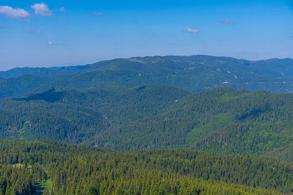 Yaz boyunca Bulgaristan 'ın Pamporovo köyünü çevreleyen Rhodopes dağları