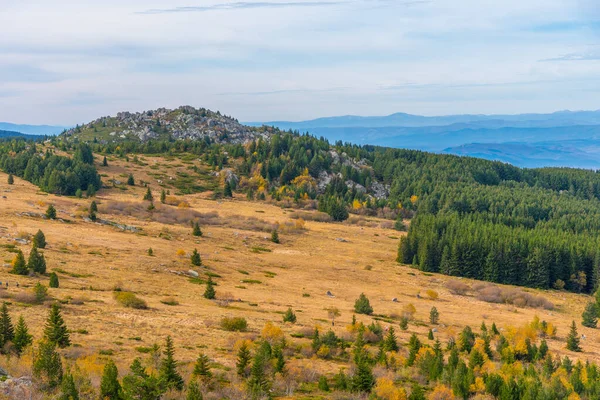 ブルガリアソフィア近郊のヴィトシャ山の風景 — ストック写真
