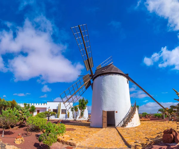 Windmill Museum Majorero Cheese Fuerteventura Canary Islands Spain — Stock Photo, Image