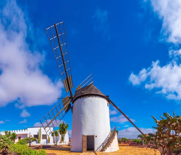 Szélmalom Museum Majorero Sajt Fuerteventura Kanári Szigetek Spanyolország — Stock Fotó