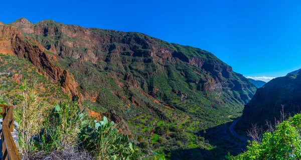 Barranco Guayadeque Völgy Gran Canaria Kanári Szigetek Spanyolország — Stock Fotó