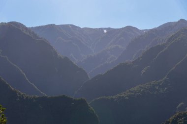 La Palma 'daki Los Tilos yağmur ormanları, Kanarya adaları, İspanya.
