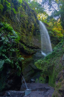 La Palma 'daki Los Tilos yağmur ormanlarında şelale, Kanarya adaları, İspanya.