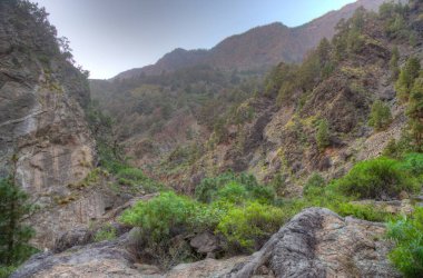 Barranco de Las Angustias Caldera de Taburiente, La Palma, Kanarya Adaları, İspanya.
