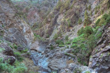 Barranco de Las Angustias Caldera de Taburiente, La Palma, Kanarya Adaları, İspanya.