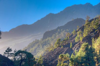Barranco de Las Angustias Caldera de Taburiente, La Palma, Kanarya Adaları, İspanya.