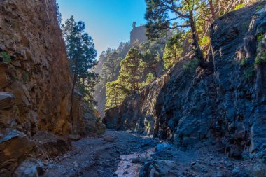 Barranco de Las Angustias Caldera de Taburiente, La Palma, Kanarya Adaları, İspanya.
