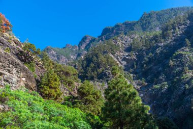 Barranco de Las Angustias Caldera de Taburiente, La Palma, Kanarya Adaları, İspanya.