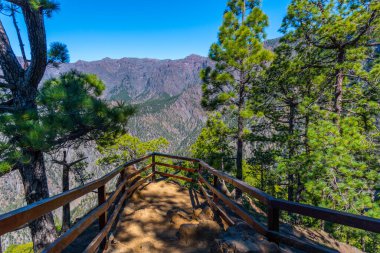 Mirador Lomo de las Chozas La Palma 'daki Caldera de Taburiente Ulusal Parkı, Kanarya Adaları, İspanya.