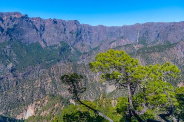 Caldera de Taburiente Ulusal Parkı Panoraması La Palma, Kanarya Adaları, İspanya.