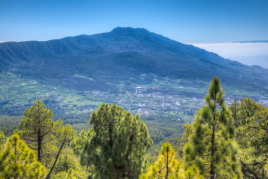 La Palma 'nın yürüyüş parkurundan Pico Bejenado' ya, Kanarya Adaları, İspanya.