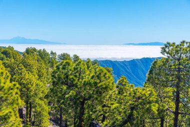 Tenerife ve La Gomera Caldera de Taburiente, La Palma, Kanarya Adaları, İspanya.