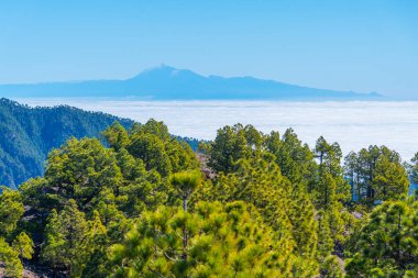 Tenerife Caldera de Taburiente, La Palma, Kanarya Adaları, İspanya.