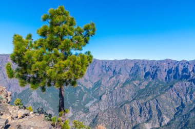 La Palma 'daki Caldera de Taburiente Ulusal Parkı Panoraması, Pico Bejenado, Kanarya Adaları, İspanya.