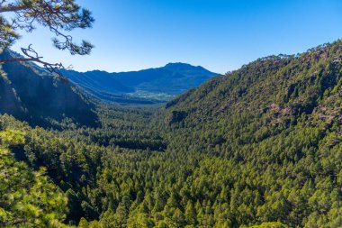 La Palma, Kanarya Adaları 'ndaki Caldera de Taburiente Milli Parkı' nda Cumbre vieja, İspanya.