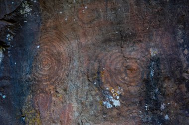 La Zarza Kültür Parkı, La Palma, Kanarya Adaları, İspanya 'da yerli halk tarafından yapılan taş oymaları..