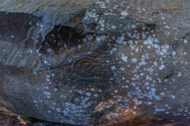 La Zarza Kültür Parkı, La Palma, Kanarya Adaları, İspanya 'da yerli halk tarafından yapılan taş oymaları..