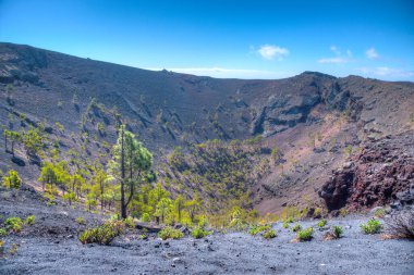 La Palma 'daki San Antonio krateri, Kanarya Adaları, İspanya.