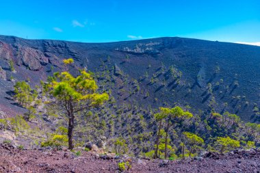 La Palma 'daki San Antonio krateri, Kanarya Adaları, İspanya.